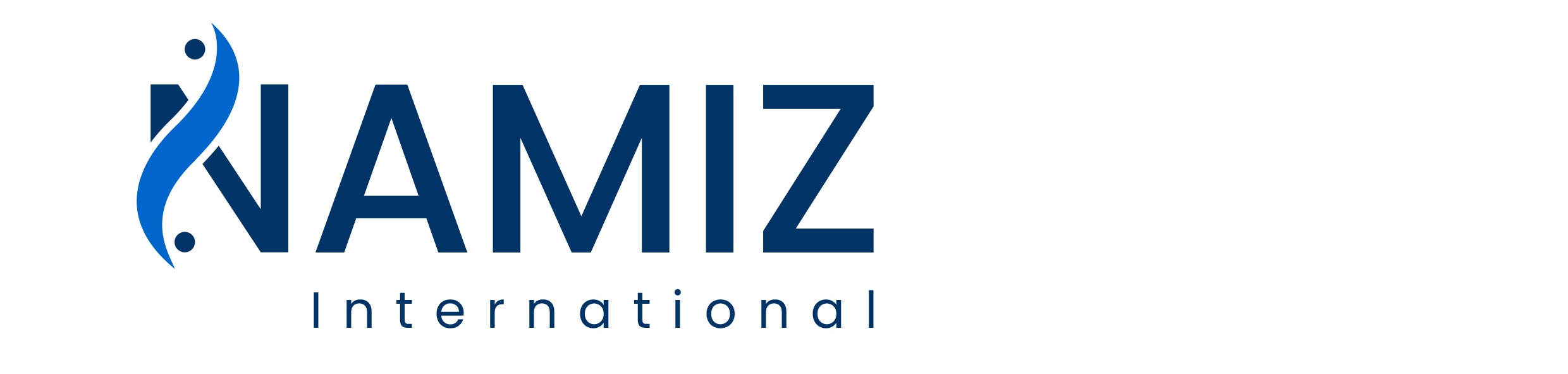 Namiz International